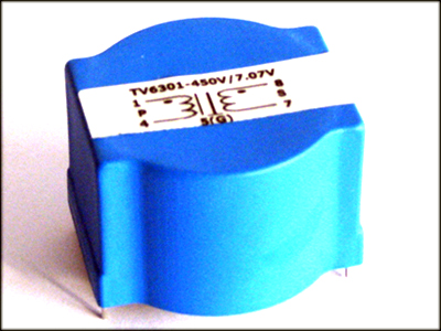 WYPT6301