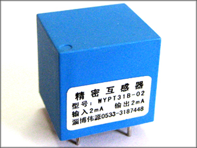 WYPT31B-02